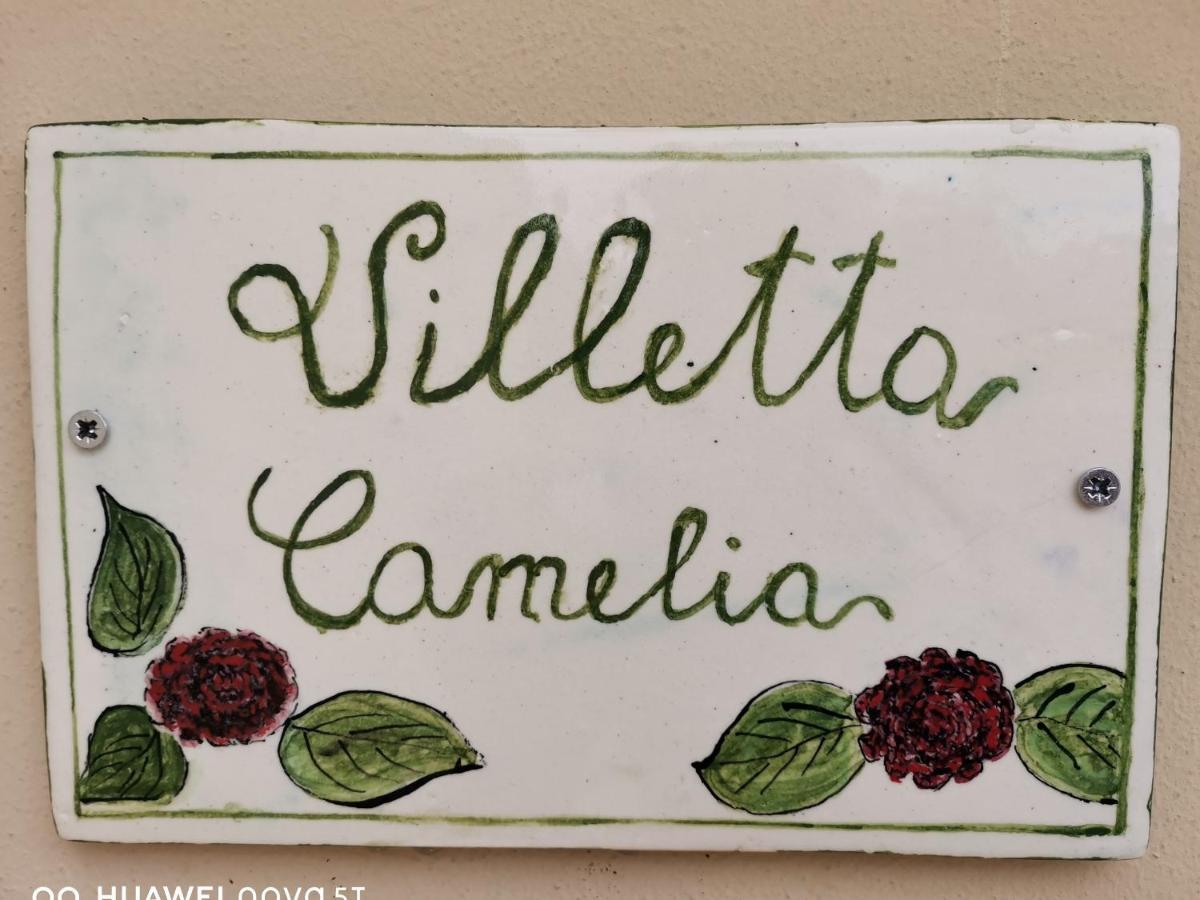 Camelia Holiday home